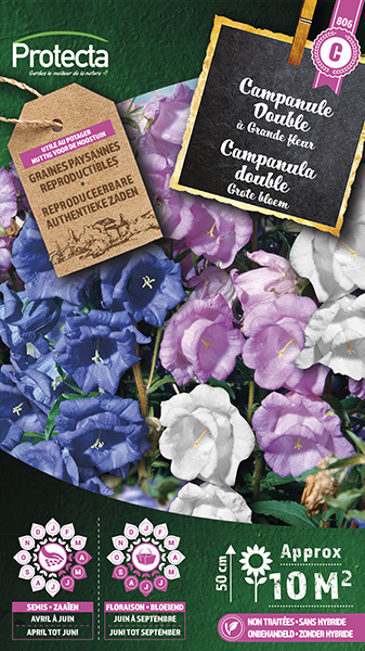 Campanula dubbel gemengd