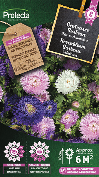 Korenbloem Barbeau gemengd