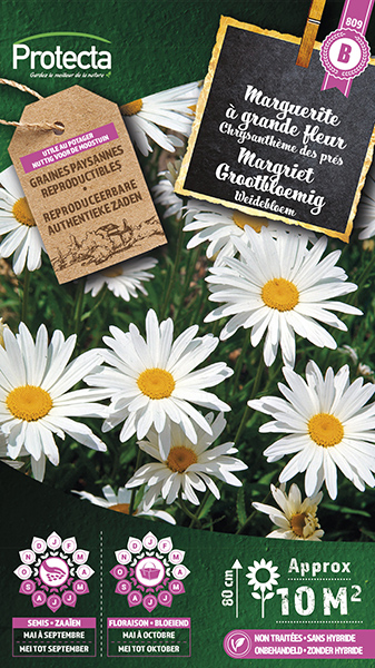 Margriet Grootbloemig