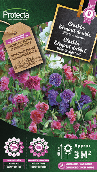 Clarkia elegant dubbel gemengd