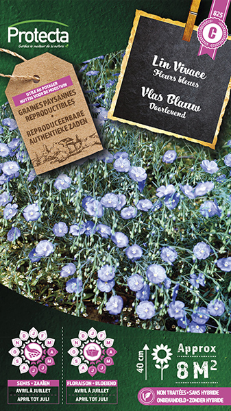 Vlas Blauw Doorlevend