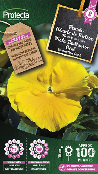 Viola Zwitserse Geel