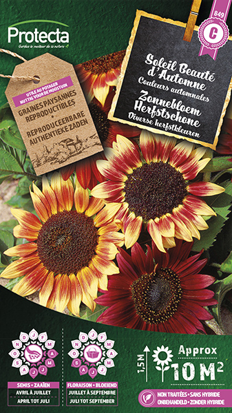 Zonnebloem Herfstschone