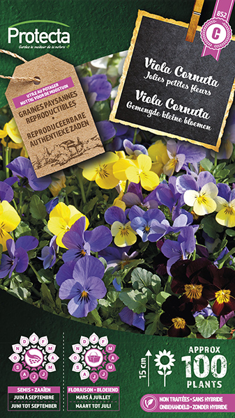 Viola Cornuta Gemengd