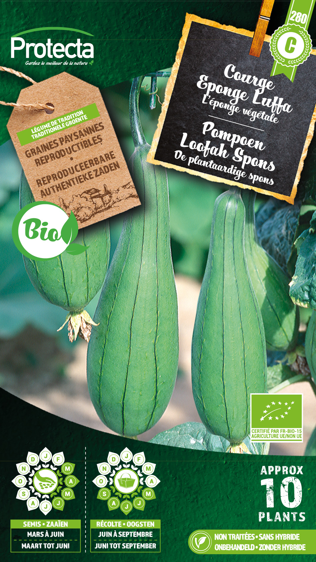 Pompoen Loofah Spons FR-BIO-15
