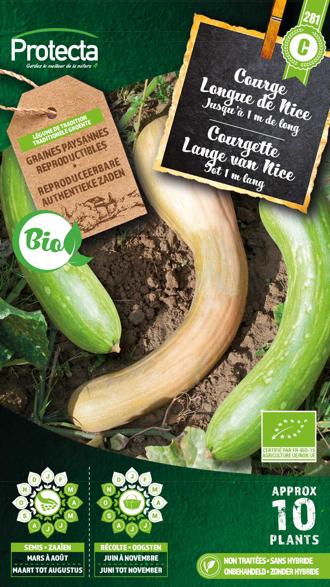 Courgette Lange van Nice FR-BIO-15