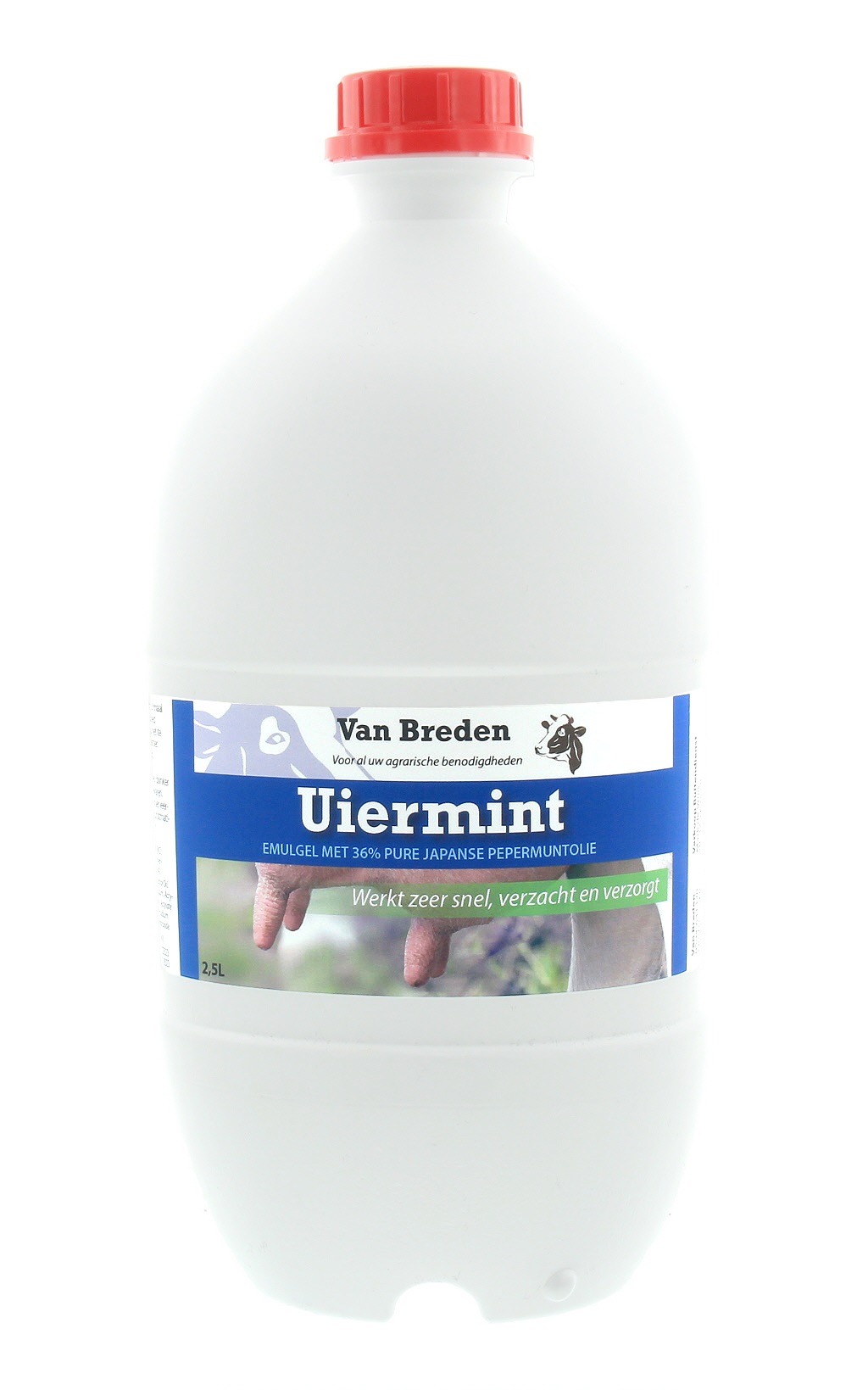 Topmint 36% VAN BREDEN 2500ML.