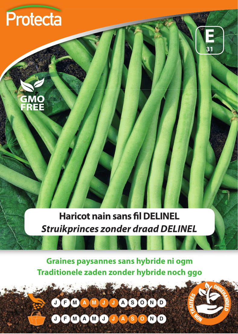 Struikprinces zonder draad DELINEL