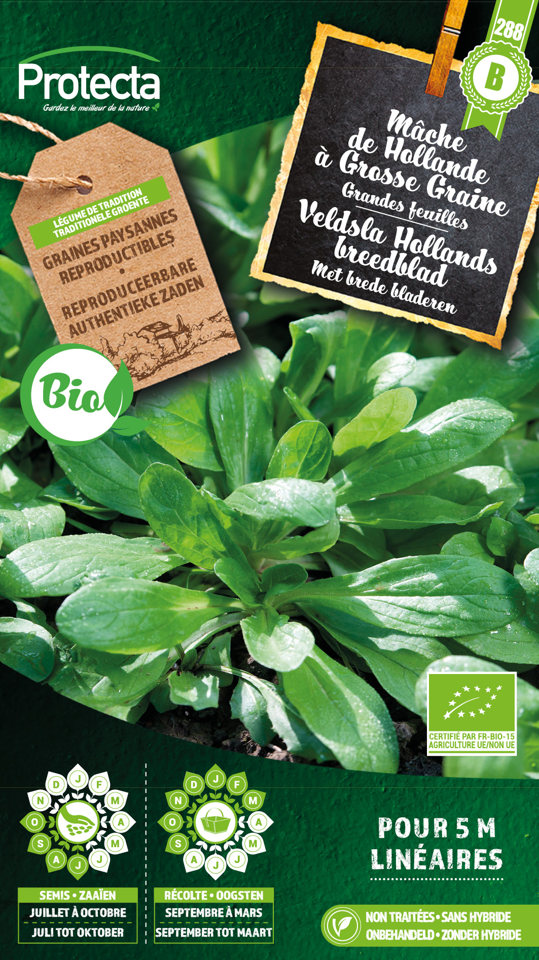 Veldsla Hollands breedblad FR-BIO-15