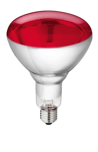 Warmtelamp infrarood 250W rood Philips