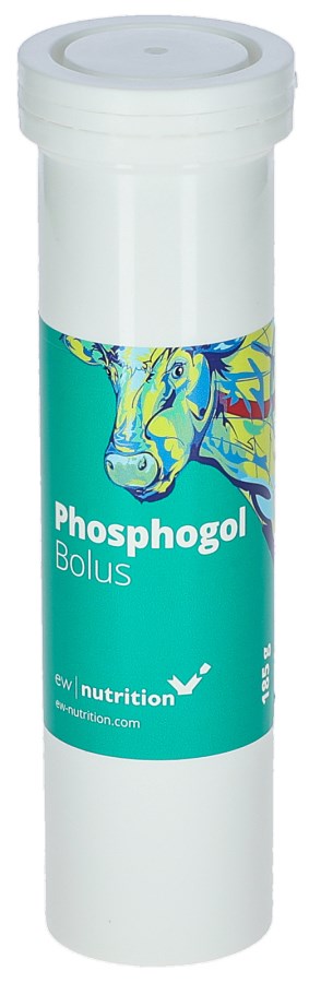 Phosphogol bolus (fosfor) 4 pcs