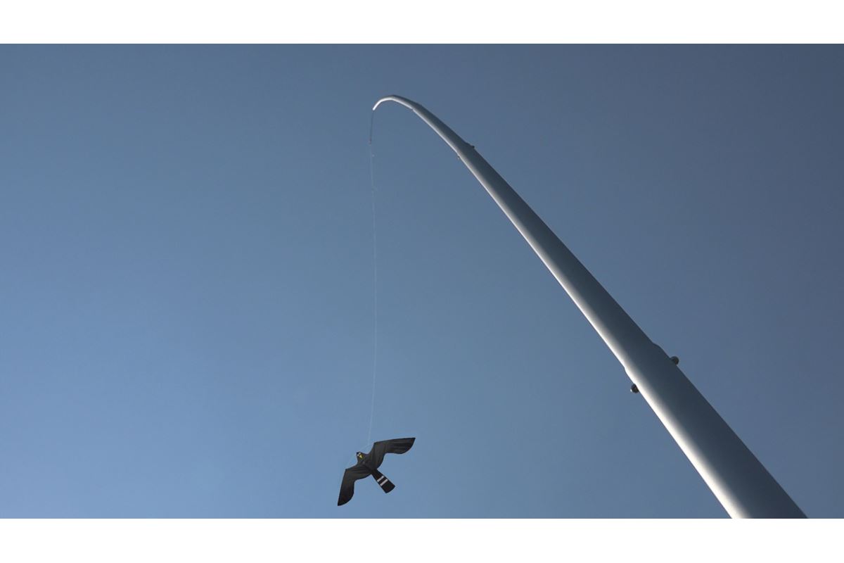 Aluminium mast 12,5m met Black Hawk Kite