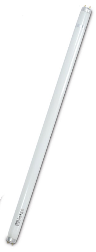 Lamp 20W