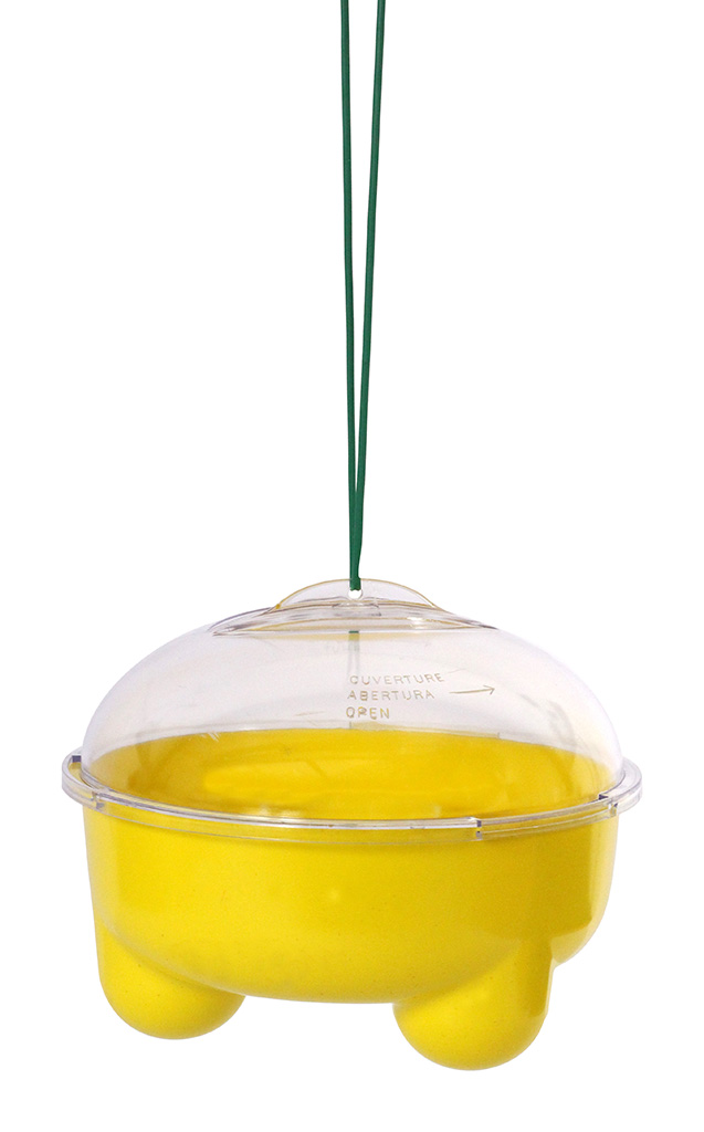 Bicolor Trap