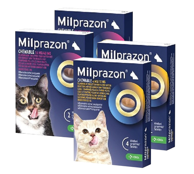 Milprazon worm kauwtabletten kat