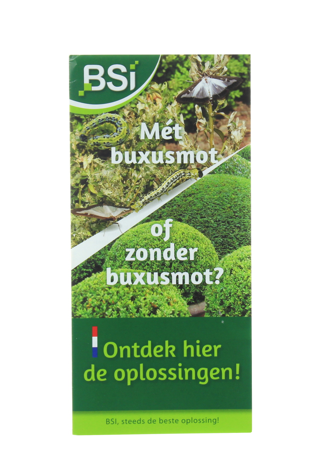 Folder BSI Buxusmot